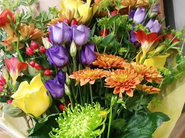 Fresh Flowers | Petal & Stem Florist Farnham